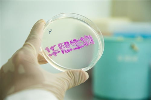 企業如何助力國家發展新質生產力 華熙生物 大力發展合成生物技術