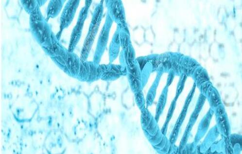 最新生物科技公司起名取名