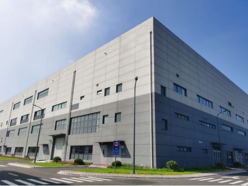 長生不老丹 風(fēng)頭正勁, 新老年人 開始過上 潮生活